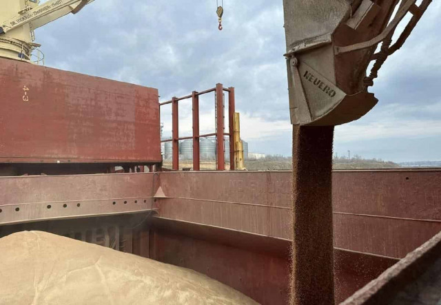 Євросоюз готує мита на зерно з Росії та Білорусі, – FT
