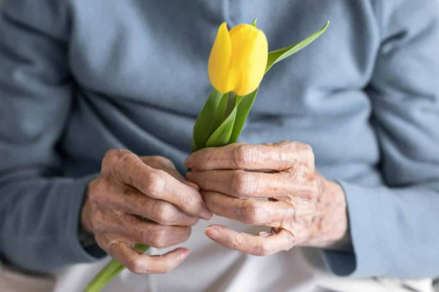 Як прожити довше: розкрито головні секрети довголіття
