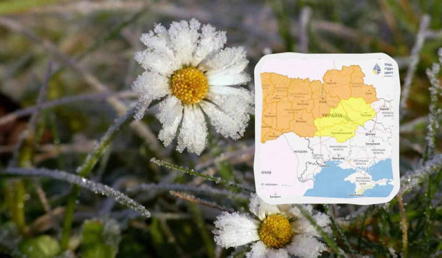 Україну скують заморозки: температура впаде до -5°