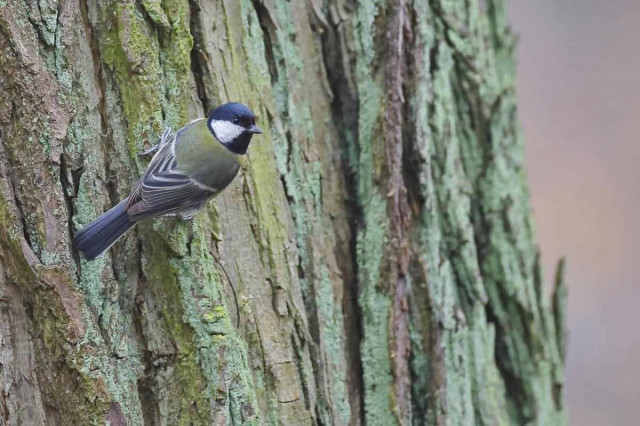 Укргідрометцентр попереджає про нетипову погоду: до чого готуватись
