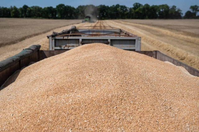 Найбільший імпортер пшениці у світі купуватиме українське зерно всупереч бажанню РФ
