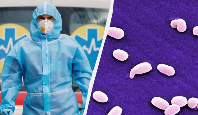 Воронеж можна не бомбити: небезпечна інфекція з'явилася в сусідньому з Україною регіоні РФ