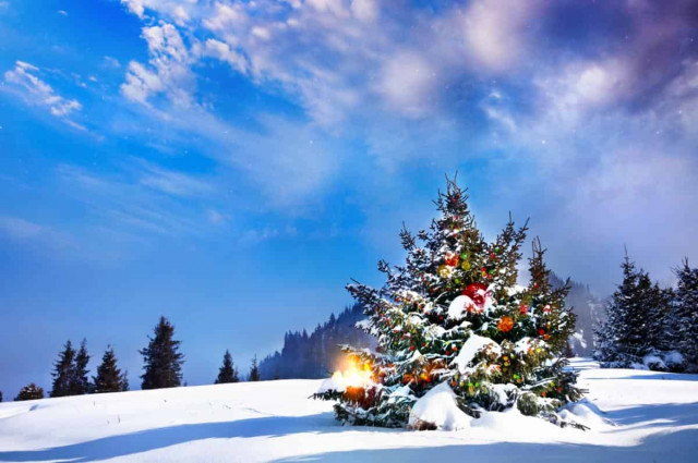 Погода на Різдво та Новий рік: синоптик здивував прогнозом на свята
