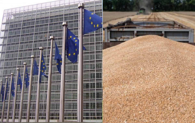 Євросоюз запровадить мита на російське та білоруське зерно, - Politico
