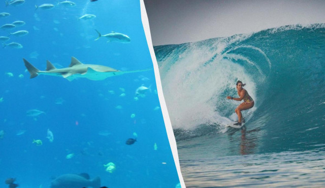 В Індонезії риба-меч проштрикнула в груди відому серфінгістку
