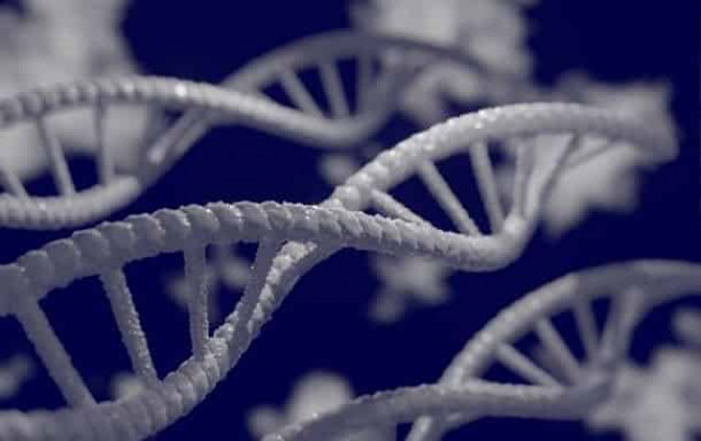 Ученые выяснили, как авария на ЧАЭС повлияла на генетическое здоровье