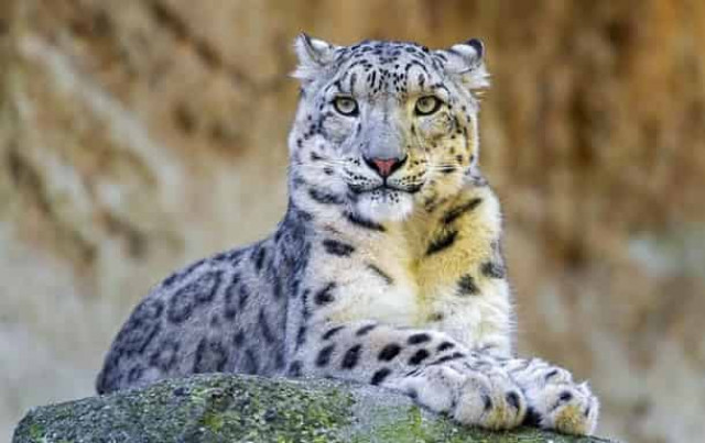 Какие праздники 23 октября 2020: невероятные факты, приметы, именинники