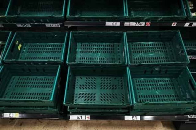 Неистовая паника