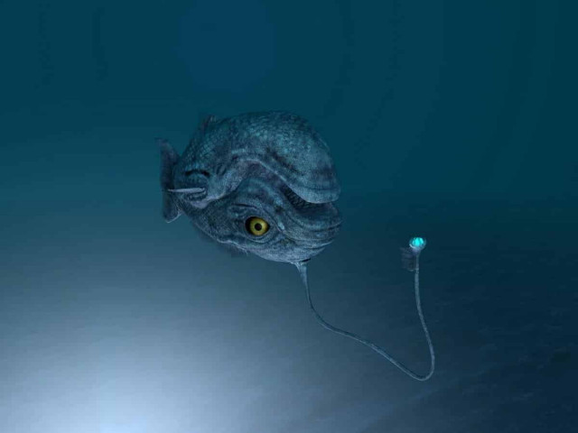 Біологи виявили рибу, яка все життя плаває догори дригом
