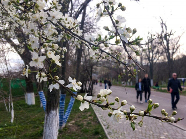 Синоптикиня розповіла, як зараз весна змінюватиме погоду в Україні
