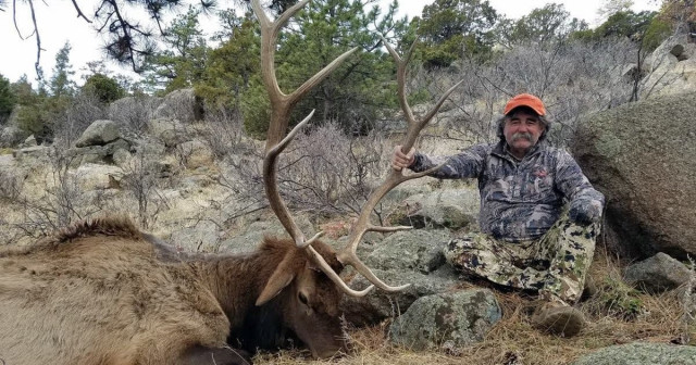 У Габоні череда слонів затоптала на смерть серійного вбивцю мисливця-мільйонера зі США