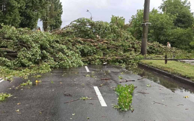 Впродовж години Київ накриє негода: оголошено І рівень небезпеки
