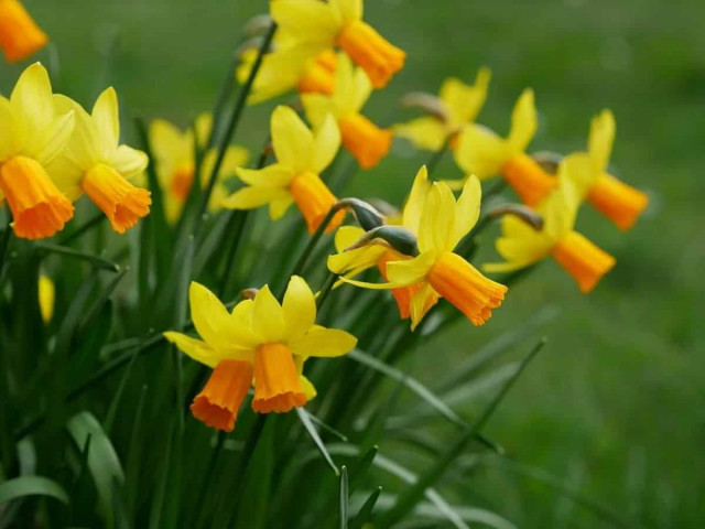 Укргідрометцентр повідомив, яка погода буде у квітні
