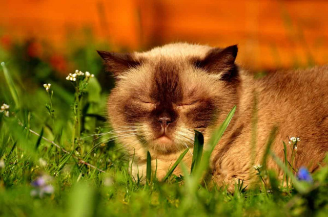 Синоптик назвала точную дату потепления в Украине
