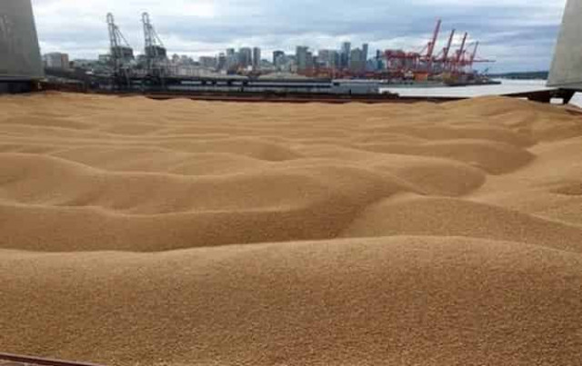 Вывоз зерна из Украины: озвучены планы по объемам