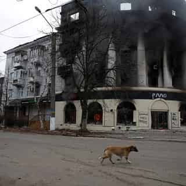 В Китае поразмышляли о сроках завершения конфликта на Украине
