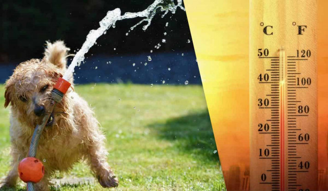 Таких температур ще не було: у Києві за один день спека побила одразу три рекорди
