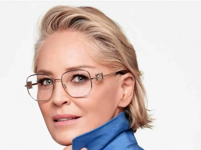 На акторку Шерон Стоун подали до суду: що трапилося
