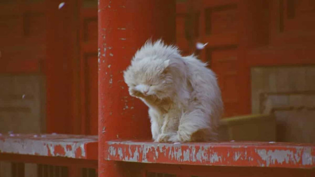 Синоптик Діденко попередила українців по небезпеку 30 листопада
