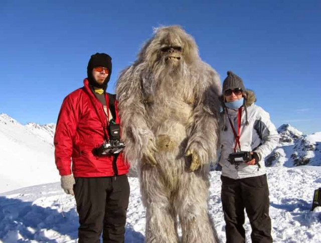 Исследователи нашли необычную связь между снежным человеком и медведями
