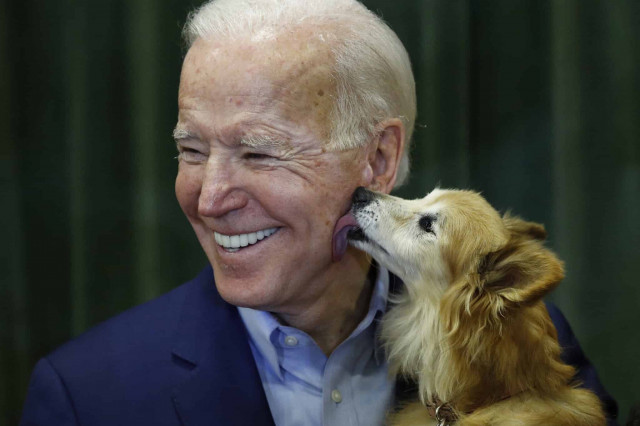 Biden's doctor says he has hairline fractures in his foot after slipping while playing with his dog