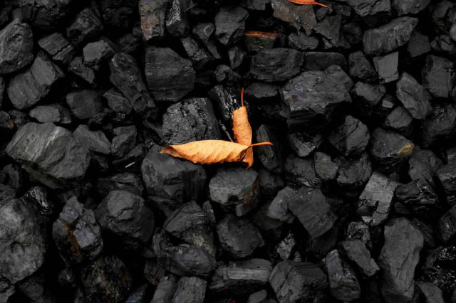 Замість вугілля: в Австралії вигадали нову допомогу Україні на $20 мільйонів
